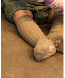 Birthday | ソックス/靴下