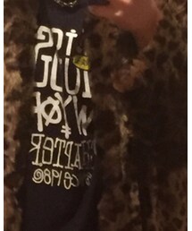 STUSSY | Tシャツ/カットソー