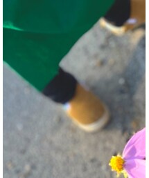 UNIQLO | パンツ