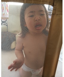 とおせんぼ | その他