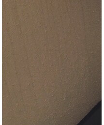 TENDERLOIN | チノパンツ