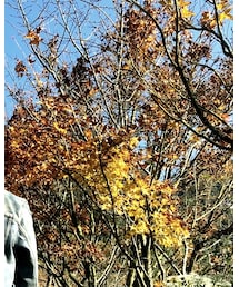 NEIGHBORHOOD | 帽子