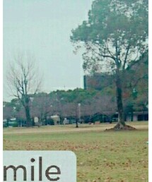 西松屋 | スウェット