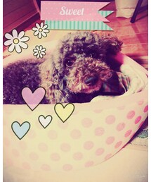 no brand | その他