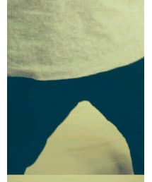 COMME des GARCONS | Tシャツ/カットソー