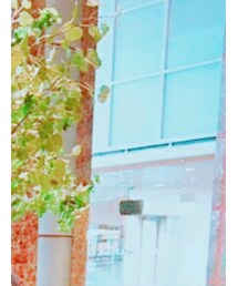 Love toxic | ワンピース