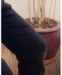 UNIQLO | チノパンツ