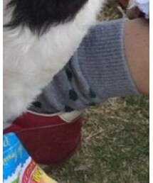 GAP | ソックス/靴下