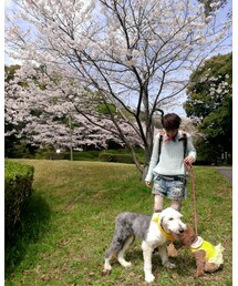 去年のお花見。力ちゃん。 | その他
