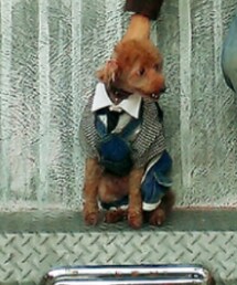 お誕生日仕様♪ | その他
