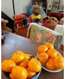 お土産🍊 | 音楽/本・雑誌