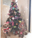 龍ちゃん🎅の「音楽/本・雑誌(音楽/本・雑誌)」