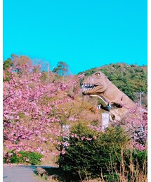 いい休日でした💗 | 音楽/本・雑誌