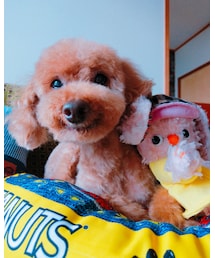 smile❤❤ | 音楽/本・雑誌