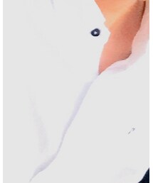 HIDEAWAYS NICOLE | シャツ/ブラウス