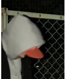 Champion | ジャケット/アウター