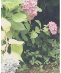 Repetto | その他シューズ