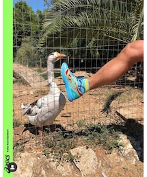 KIKO KOSTADINOV | スニーカー