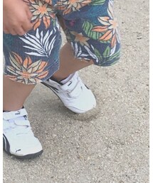 PUMA | スニーカー