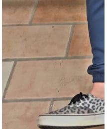 VANS | スニーカー