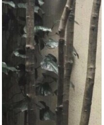 licht bestreben | タンクトップ