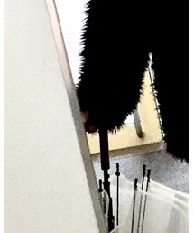 CODY SANDERSON | リング