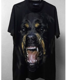 GIVENCHY | GIVENCHY/Rottweiler/14AW(Tシャツ/カットソー)