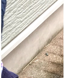 babyGAP | シャツ/ブラウス