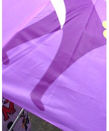 FLYING TIGERS | 長傘