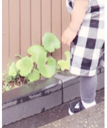 adidas | スニーカー