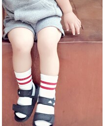 petit main | ソックス/靴下