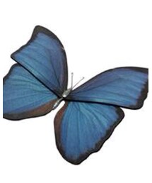 TORQUATA | アクセサリー