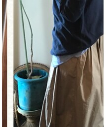 UNIQLO | シャツ/ブラウス