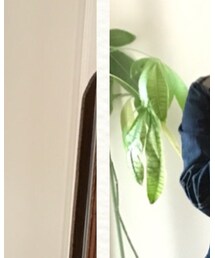 BRAPPERS | デニムジャケット