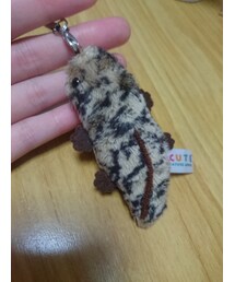 京都水族館でゲット | 雑貨/ホビー