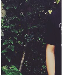 Dienastie | サングラス