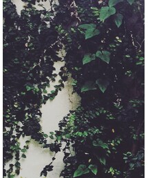 ZARA | スラックス