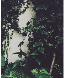 Paul Smith | スニーカー