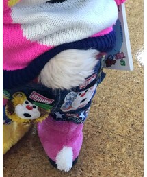 JAM | デニムパンツ