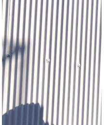 Graphpaper | シャツ/ブラウス