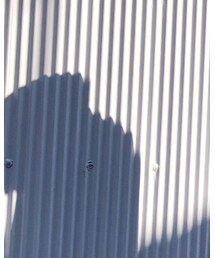 is-ness | デニムパンツ