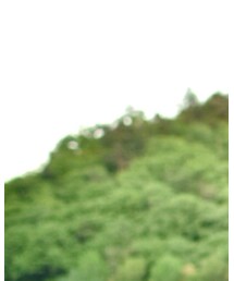 SASQUATCHfabrix. | Tシャツ/カットソー