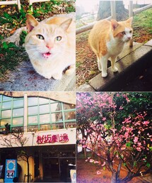 桜坂劇場 | その他