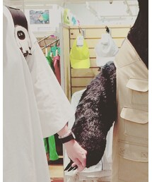 w closet | ワンピース