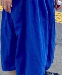 PAR ICI | スカート