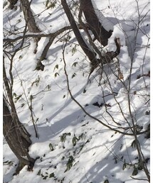 BELLHOOD | ファッション雑貨