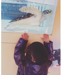 亀ちゃんと💖 | その他