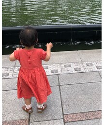 Birthday | ワンピース