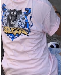 STUSSY | Tシャツ/カットソー