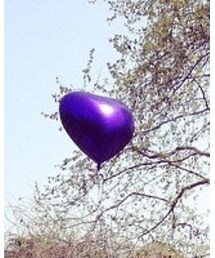 last year | その他